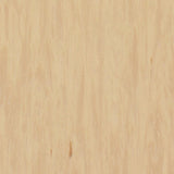 Standard Plus Antibacterial Vinyl Flooring