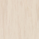 Standard Plus Antibacterial Vinyl Flooring