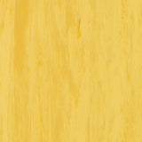 Standard Plus Antibacterial Vinyl Flooring