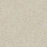 Primo SD Antistatic Antibacterial Vinyl Flooring