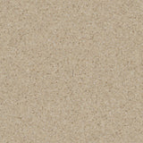 Primo SD Antistatic Antibacterial Vinyl Flooring