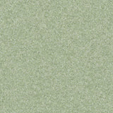 Primo SD Antistatic Antibacterial Vinyl Flooring
