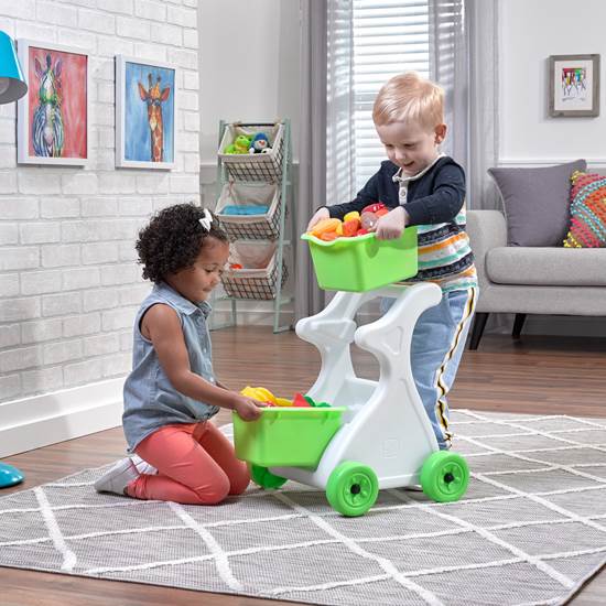 Modern Mart Shopping Cart